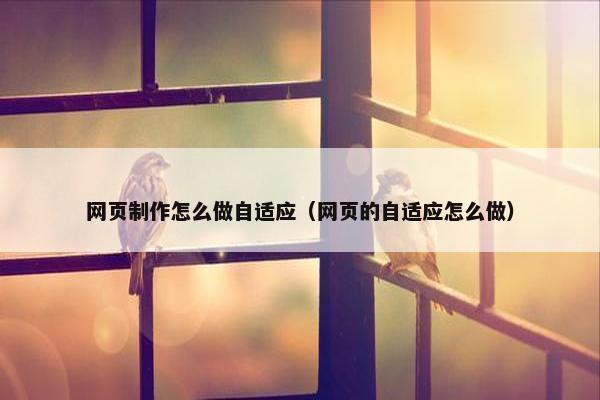 网页制作怎么做自适应（网页的自适应怎么做）