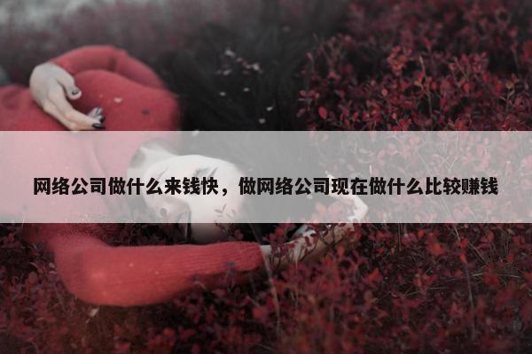 网络公司做什么来钱快，做网络公司现在做什么比较赚钱