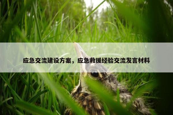 应急交流建设方案，应急救援经验交流发言材料
