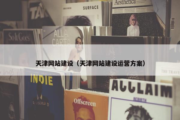 天津网站建设（天津网站建设运营方案）