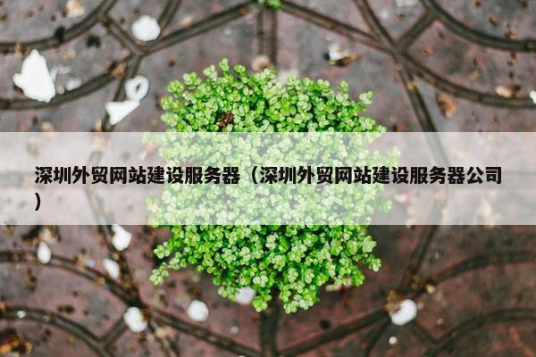 深圳外贸网站建设服务器（深圳外贸网站建设服务器公司）