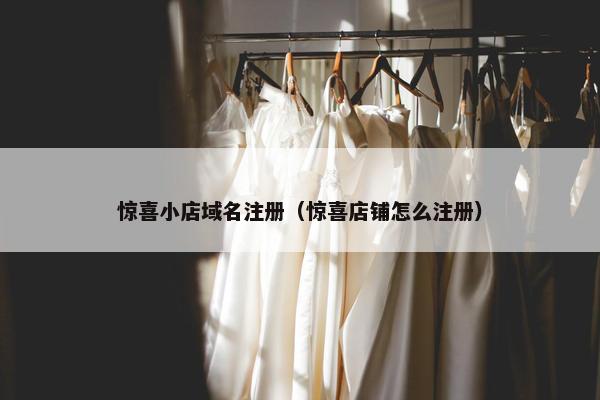 惊喜小店域名注册（惊喜店铺怎么注册）