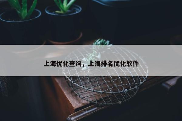 上海优化查询，上海排名优化软件