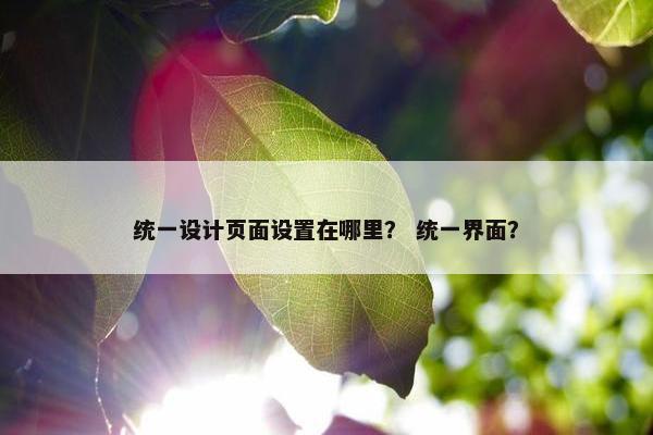 统一设计页面设置在哪里？ 统一界面？