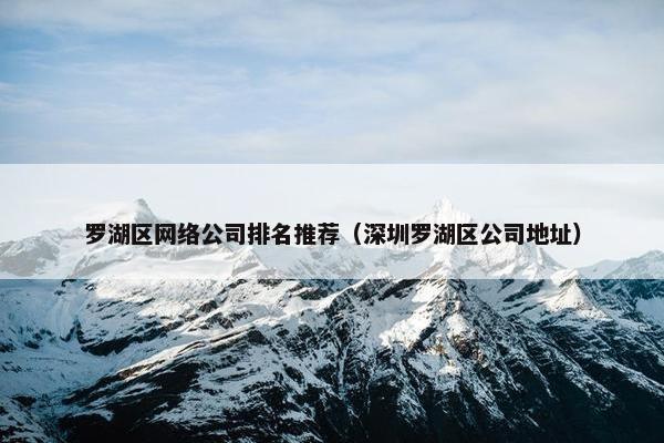 罗湖区网络公司排名推荐（深圳罗湖区公司地址）