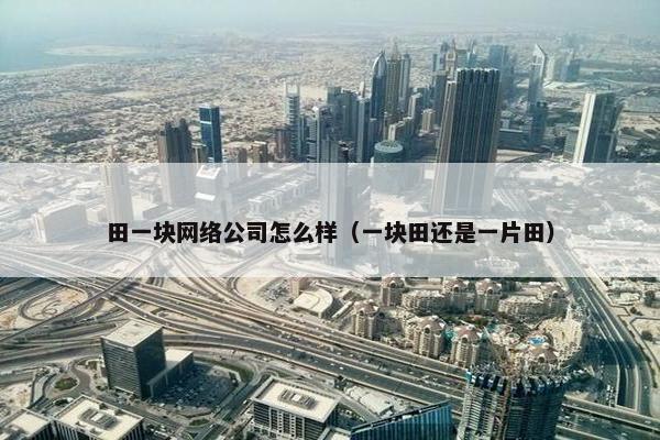 田一块网络公司怎么样（一块田还是一片田）