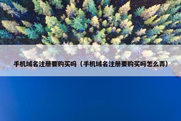 手机域名注册要购买吗（手机域名注册要购买吗怎么弄）