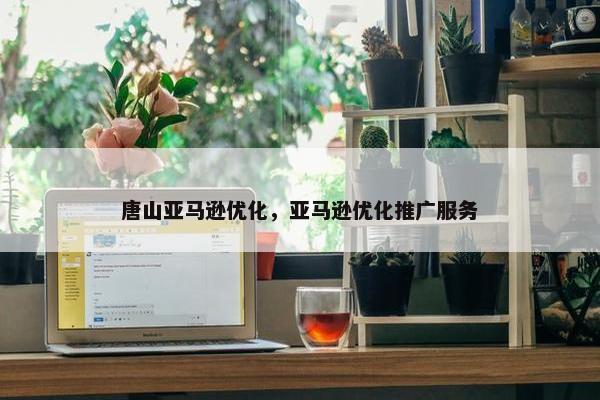 唐山亚马逊优化，亚马逊优化推广服务