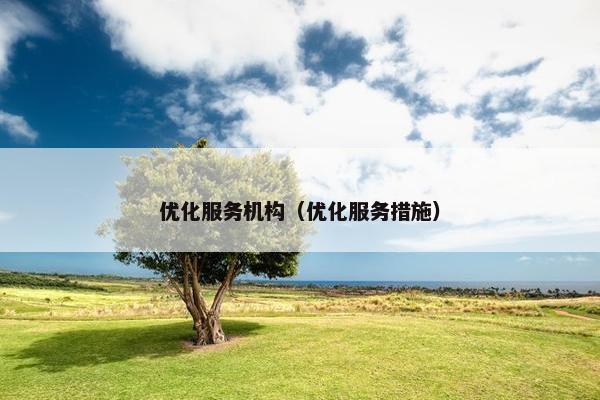 优化服务机构（优化服务措施）