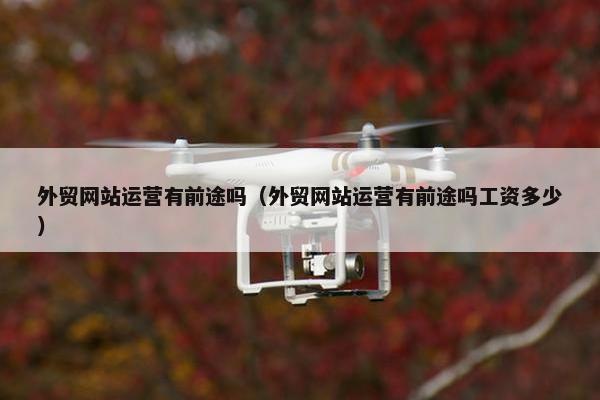 外贸网站运营有前途吗（外贸网站运营有前途吗工资多少）