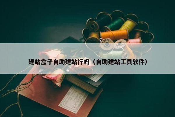 建站盒子自助建站行吗（自助建站工具软件）