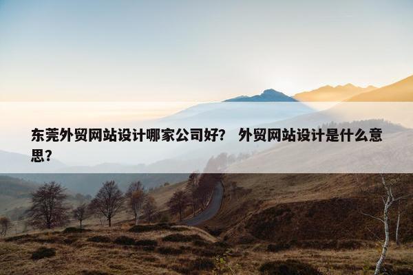 东莞外贸网站设计哪家公司好？ 外贸网站设计是什么意思？