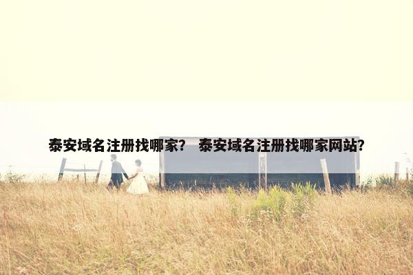 泰安域名注册找哪家？ 泰安域名注册找哪家网站？