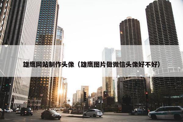 雄鹰网站制作头像（雄鹰图片做微信头像好不好）
