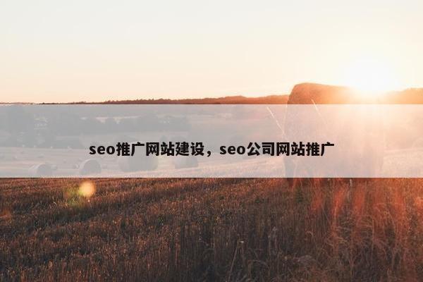 seo推广网站建设，seo公司网站推广