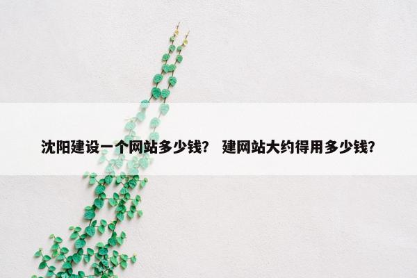 沈阳建设一个网站多少钱？ 建网站大约得用多少钱？