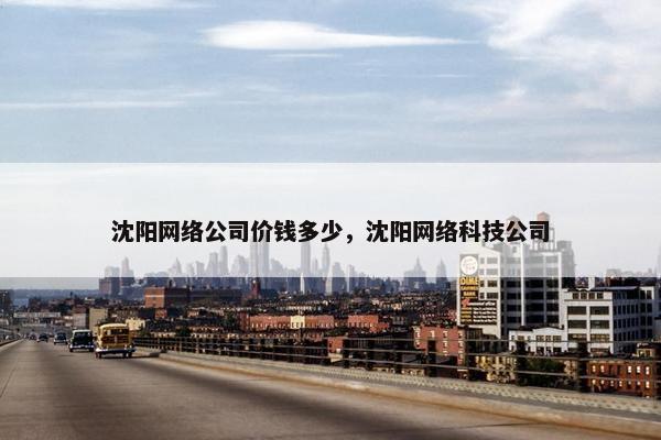 沈阳网络公司价钱多少，沈阳网络科技公司