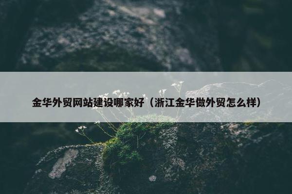 金华外贸网站建设哪家好（浙江金华做外贸怎么样）