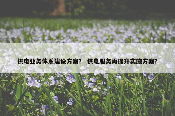 供电业务体系建设方案？ 供电服务再提升实施方案？