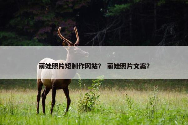 萌娃照片短制作网站？ 萌娃照片文案？