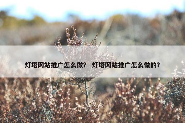 灯塔网站推广怎么做？ 灯塔网站推广怎么做的？