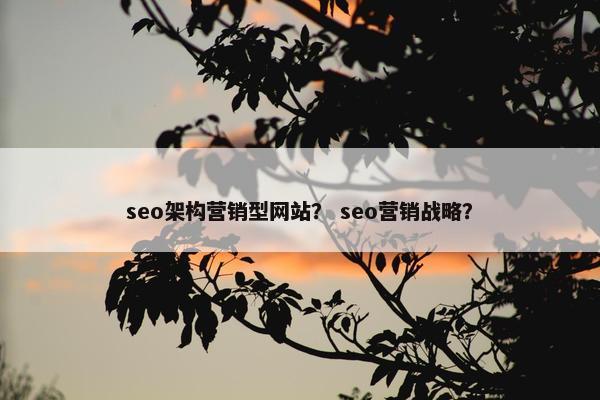 seo架构营销型网站？ seo营销战略？