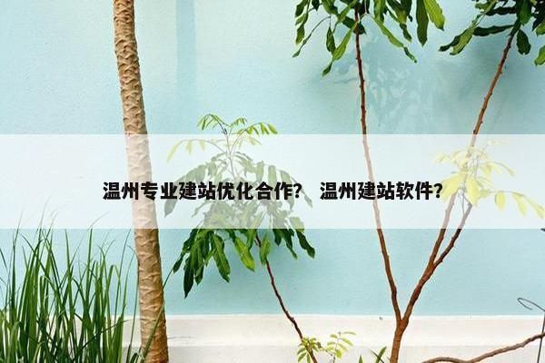 温州专业建站优化合作？ 温州建站软件？