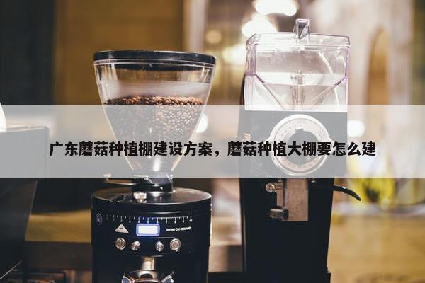 广东蘑菇种植棚建设方案，蘑菇种植大棚要怎么建