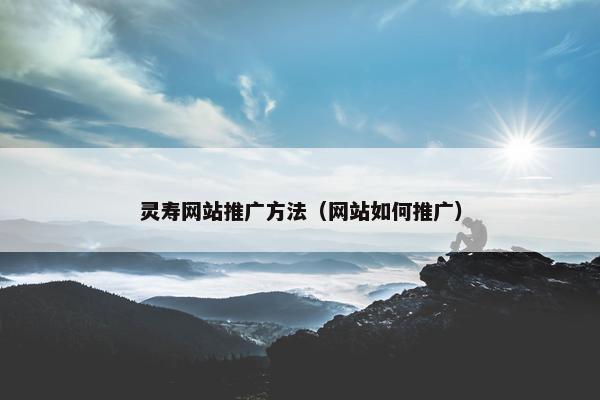 灵寿网站推广方法（网站如何推广）