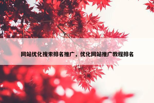 网站优化搜索排名推广，优化网站推广教程排名