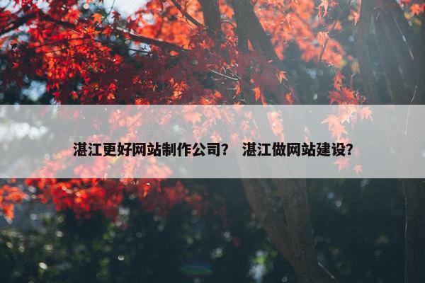 湛江更好网站制作公司？ 湛江做网站建设？