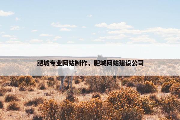 肥城专业网站制作，肥城网站建设公司