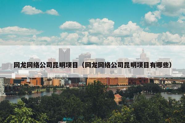 网龙网络公司昆明项目（网龙网络公司昆明项目有哪些）