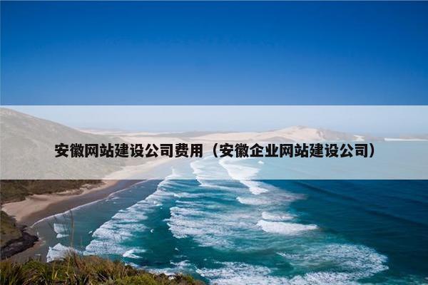安徽网站建设公司费用（安徽企业网站建设公司）