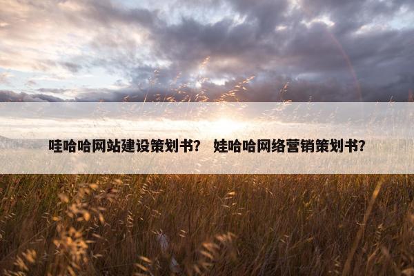 哇哈哈网站建设策划书？ 娃哈哈网络营销策划书？