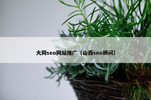 大同seo网站推广（山西seo顾问）