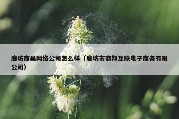 廊坊商昊网络公司怎么样（廊坊市商邦互联电子商务有限公司）