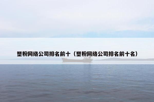 塑粉网络公司排名前十（塑粉网络公司排名前十名）