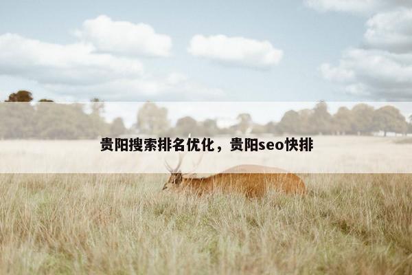 贵阳搜索排名优化，贵阳seo快排