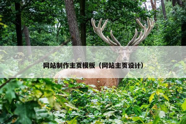 网站制作主页模板（网站主页设计）