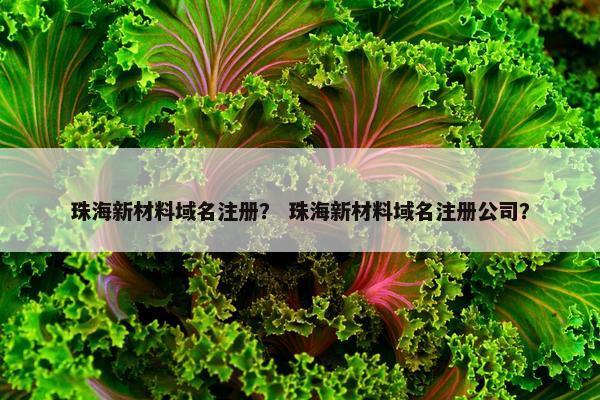 珠海新材料域名注册？ 珠海新材料域名注册公司？