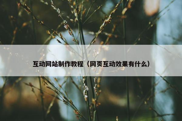 互动网站制作教程（网页互动效果有什么）