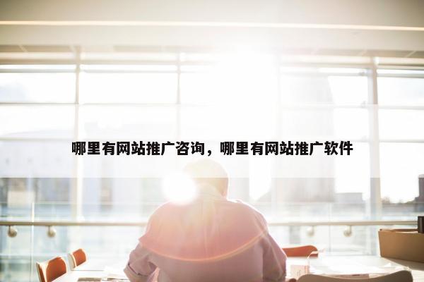 哪里有网站推广咨询，哪里有网站推广软件