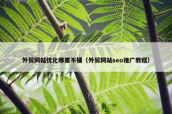外贸网站优化哪里不错（外贸网站seo推广教程）