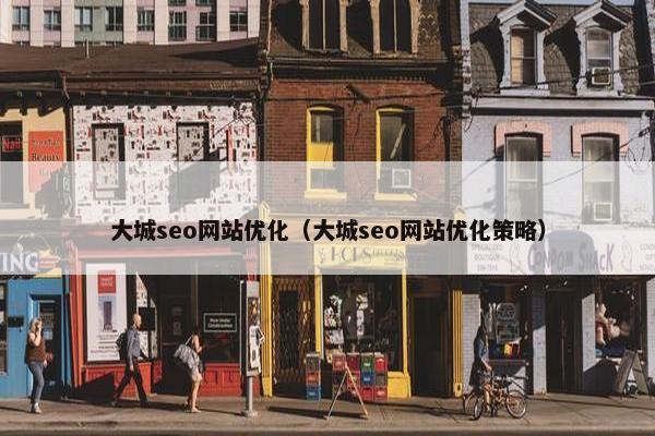 大城seo网站优化（大城seo网站优化策略）