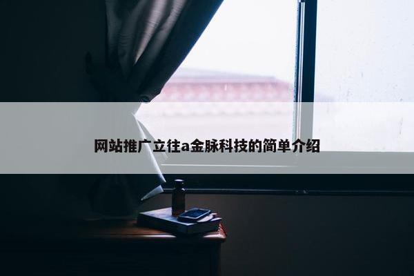 网站推广立往a金脉科技的简单介绍
