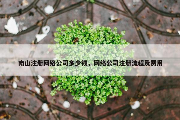 南山注册网络公司多少钱，网络公司注册流程及费用