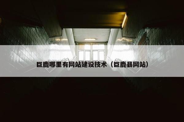 巨鹿哪里有网站建设技术（巨鹿县网站）
