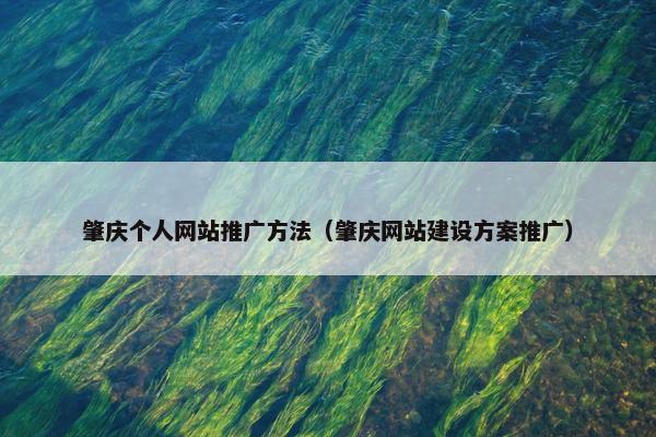 肇庆个人网站推广方法（肇庆网站建设方案推广）