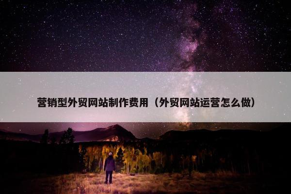 营销型外贸网站制作费用（外贸网站运营怎么做）
